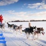 husky traineau de chiens huskies laponie finlande 2021 2022