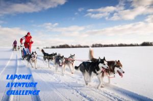 husky traineau de chiens huskies laponie finlande